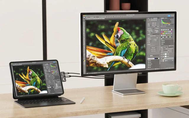 Satechi Mobile XR Hub cu cititor microSD atașat la o tabletă și alimentând un monitor extern, afișând o imagine de tip papagal de înaltă rezoluție pentru editare 4K fără întreruperi și ieșire XR.