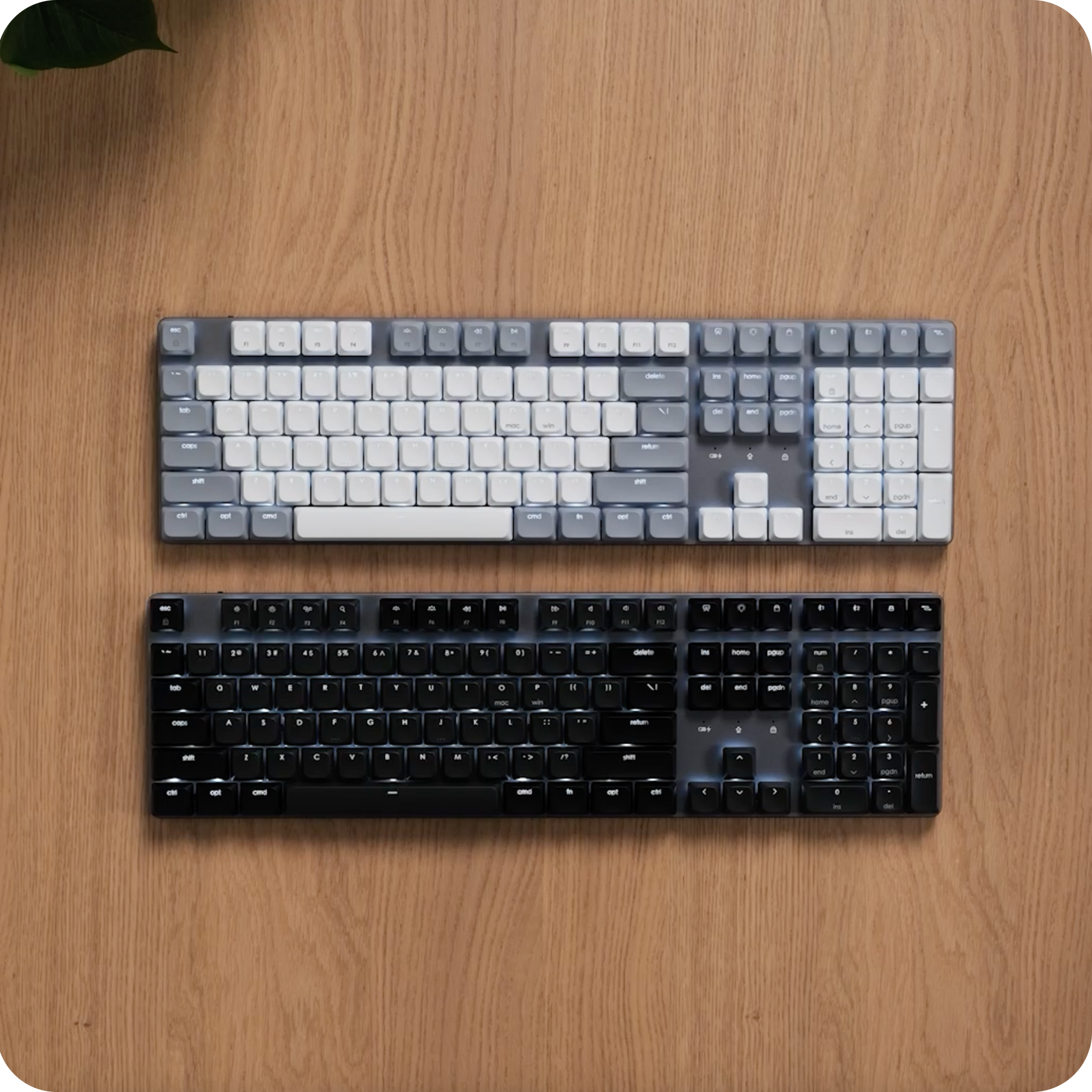 SM3 Slim Mechanical Backlit Bluetooth Keyboard Satechi Light 