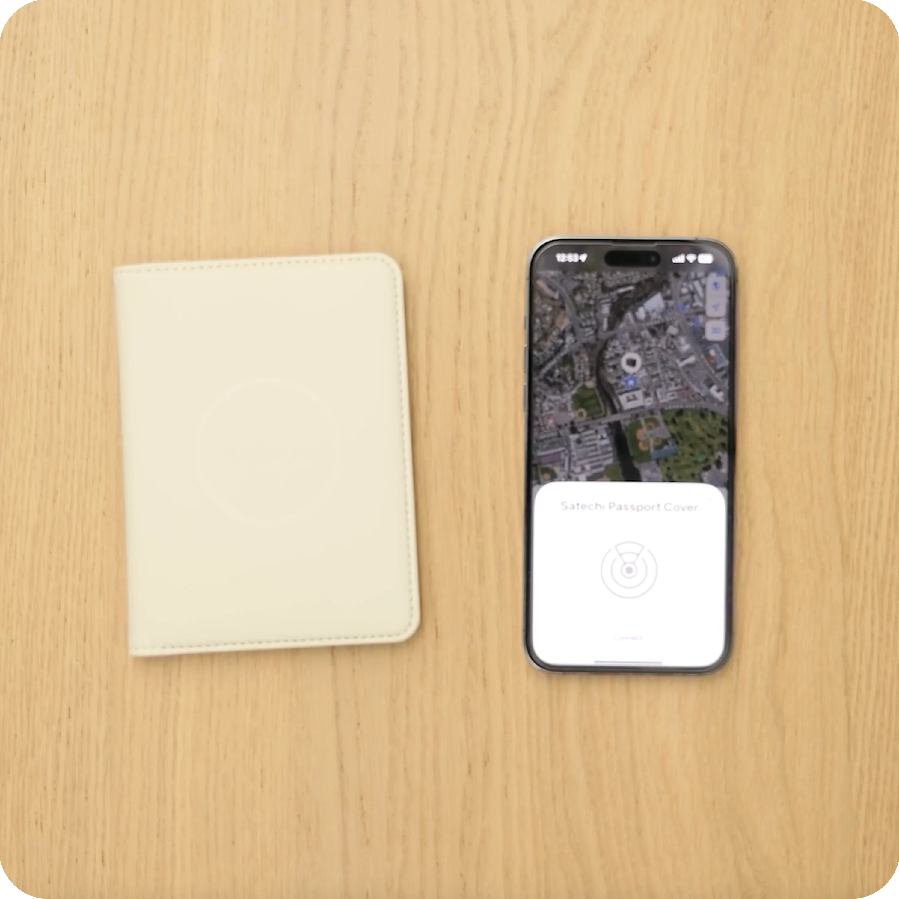 Vegan-Leather FindAll™ Passport Cover Satechi Desert Rose